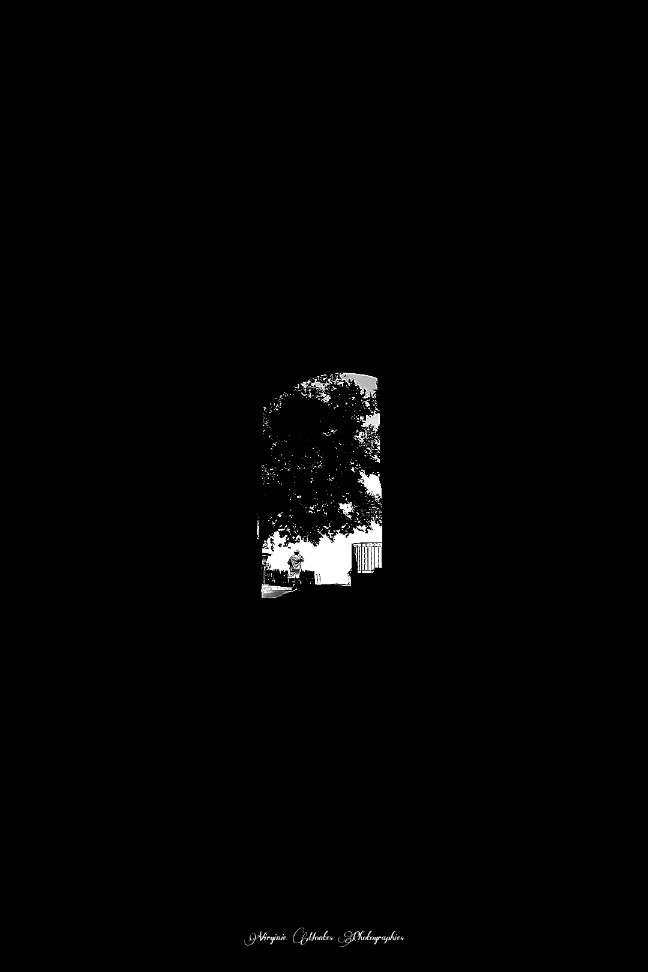 1000037110